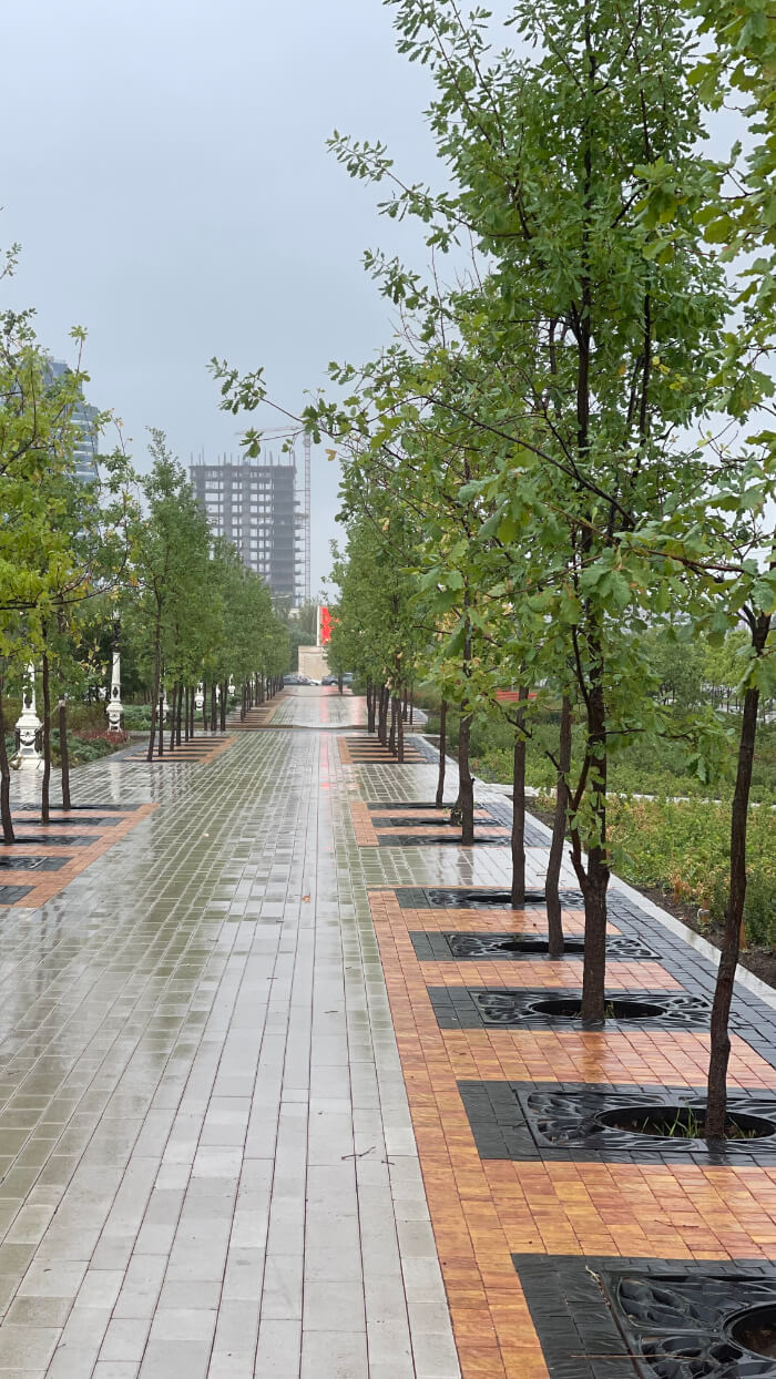 Приствольная решетка для дерева ZKING CRUST 1.2х1.2м Черная в Барнауле фото