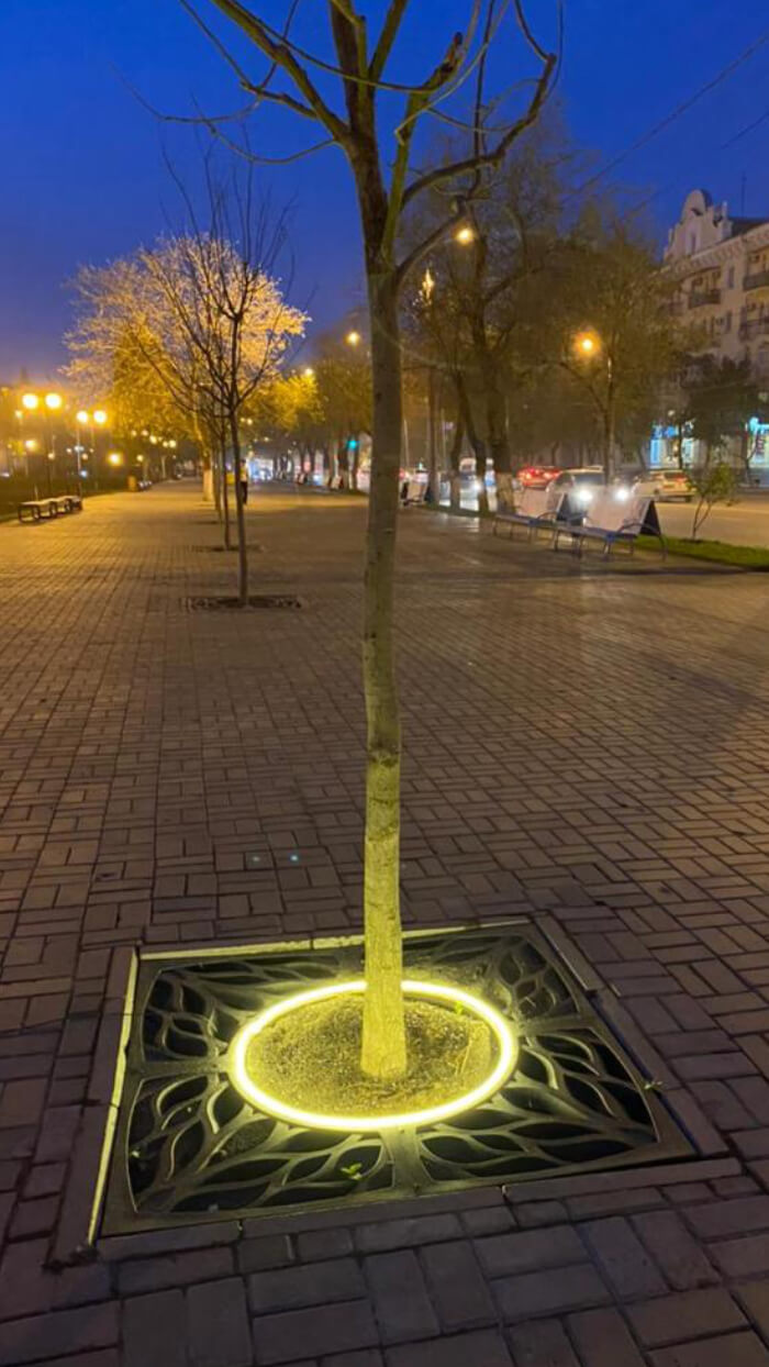 Приствольная решетка для дерева ZKING CRUST 1.2х1.2м Черная в Барнауле фото